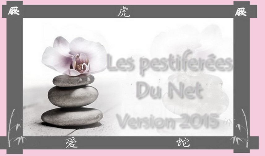 Les pestiférées du net