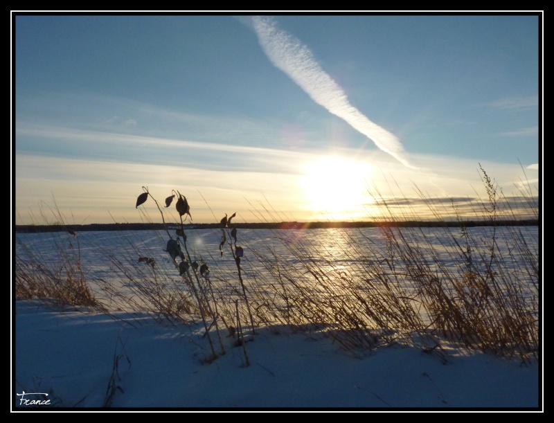 campagne de Shawinigan Club_o13