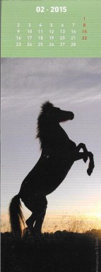 cheval poney âne 288_1410