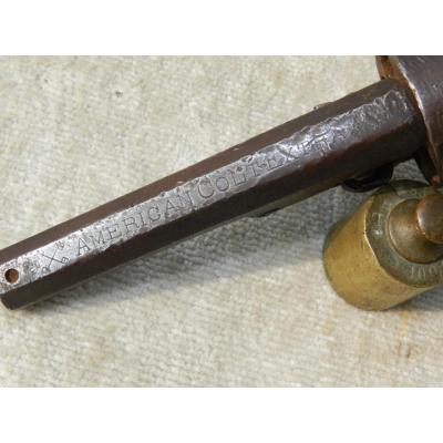 Colt belge _0000212
