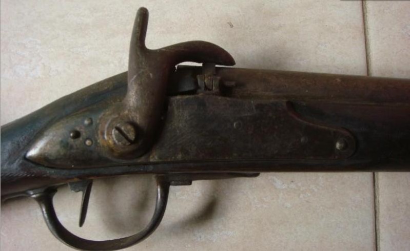 Les fusils règlementaires transformés en fusils de chasse. Sans_t29