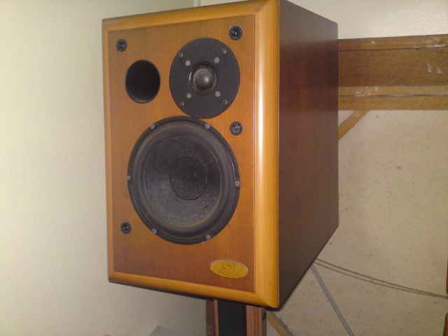 Lst Basik Monitor Speaker