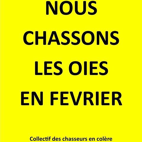 chasse oies 10252110