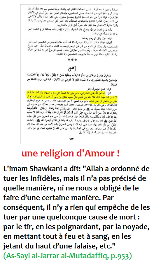 L'islam vu par Mgr Gaume Amour_10