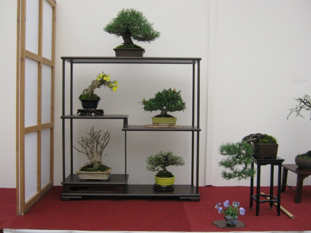 Shohin Display Show_f10