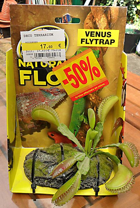 Zoo Med-Décor plante plastique Venus Fly Trap Dionae10