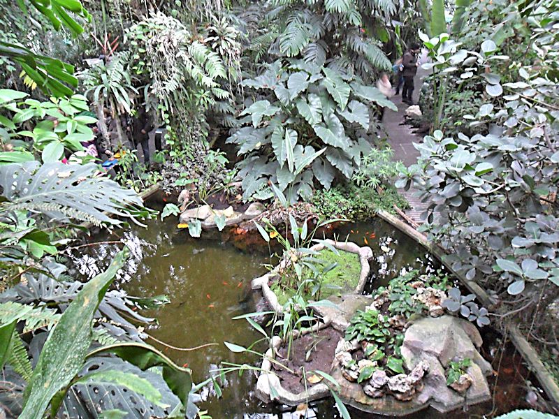 Jardin des plantes à Paris (5e) en décembre 2014  Les_gr10