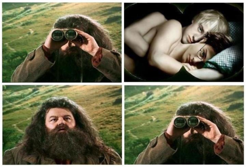 Le jeu des "images troll" - Page 4 Hagrid10