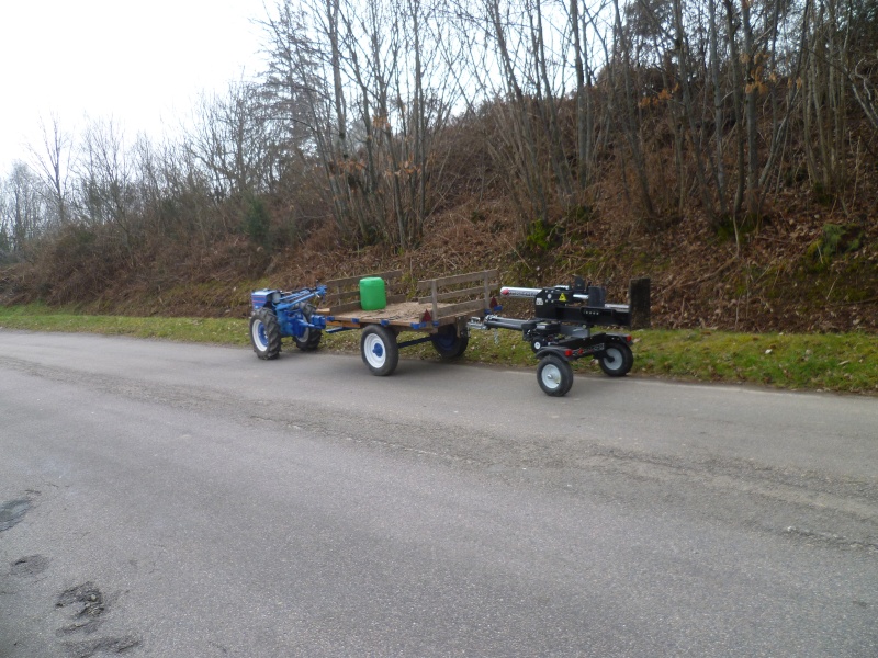 Bois 2015 en Corrèze P1030910