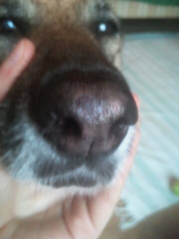 Truffe Abimee Truffe Abimee