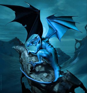 Dragons bleus D2010