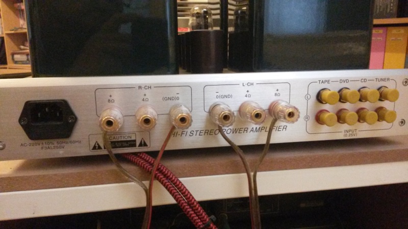 Yaqin MC 100 B Integrated Titemube Amp [used]sold 20150317