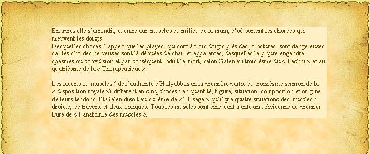 La " Grande Chirurgie de Guy de Chauliac " XIV ème Traité de l'Anatomie P8710