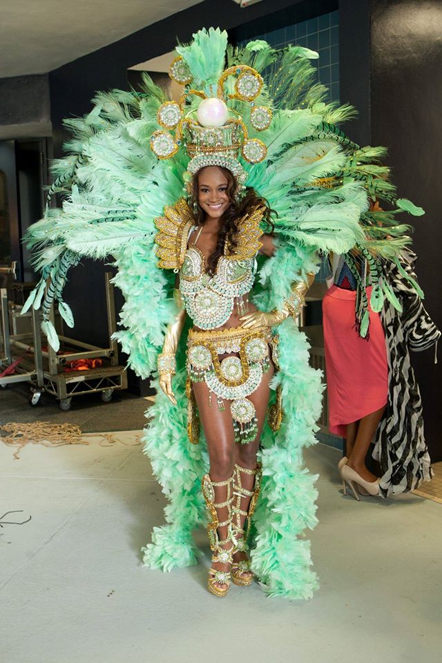 Miss Universe 2014 - National Costume - Page 3 10830510