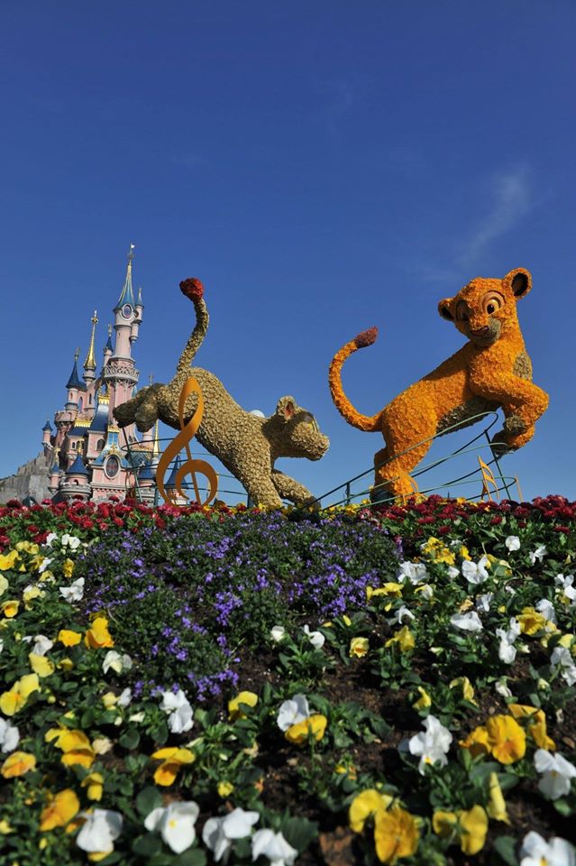 Photos publiées sur Facebook par Disneyland® Paris - Page 8 11041910