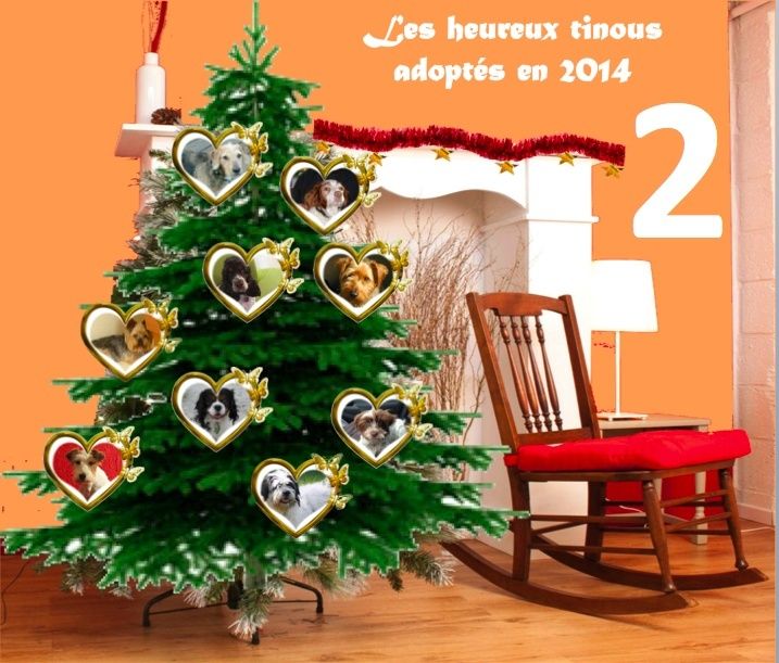 SAPIN : Les heureux adoptés 2014 Captur10