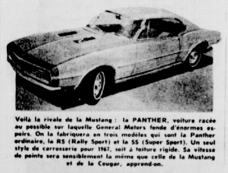 La Panther 1967 ! 1966_j10