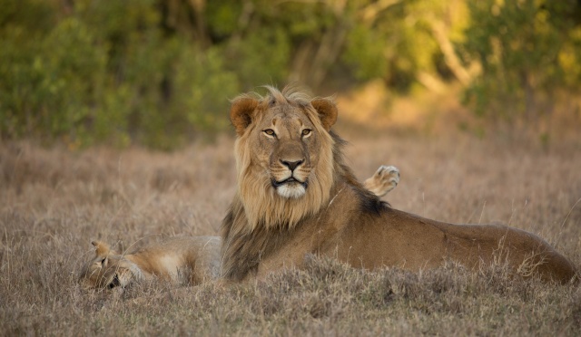 Northern Kenya safari - January 2015 Ou5a1114