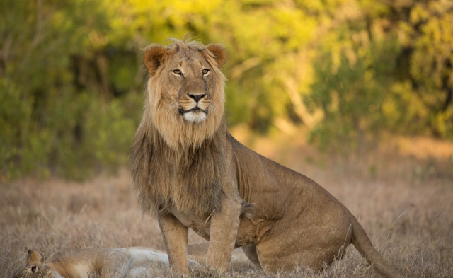 Northern Kenya safari - January 2015 Ou5a1210