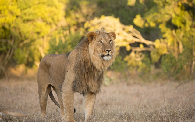 Northern Kenya safari - January 2015 Ou5a1212