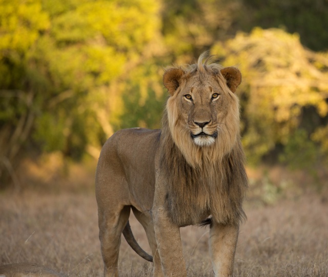 Northern Kenya safari - January 2015 Ou5a1213