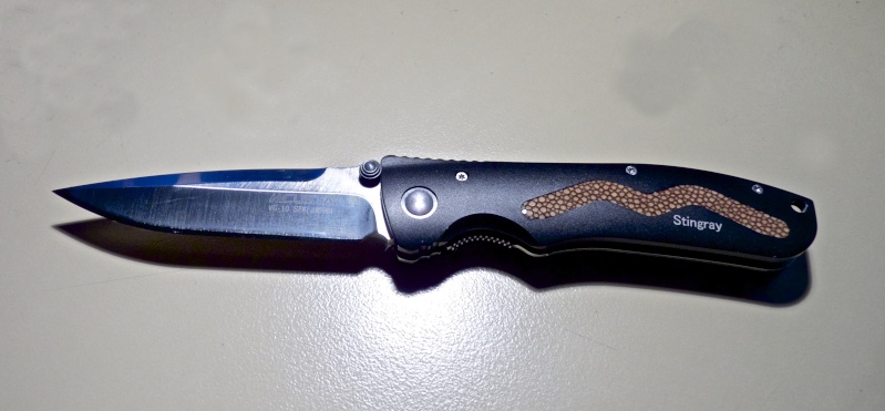Un couteau beau et costaud... P1090125