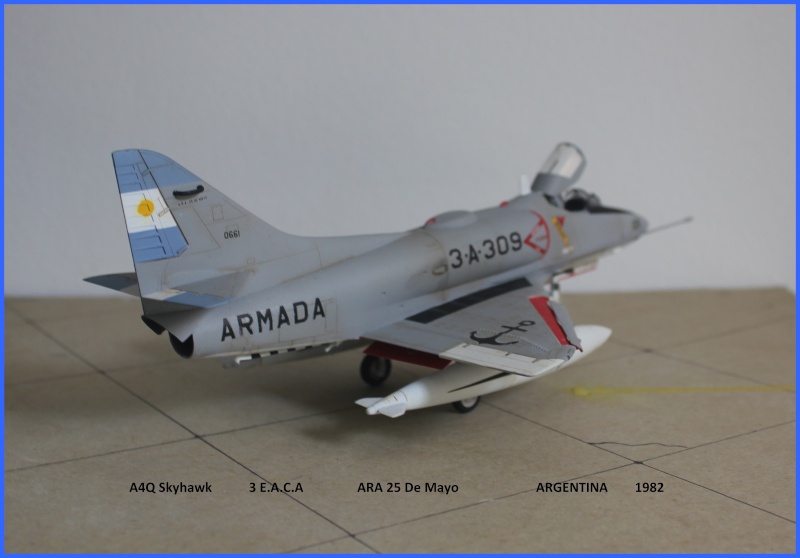 1/48 A4Q Skyhawk Hobbycraft FINI Img_8322