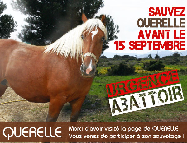 Aidons les ! Querel10