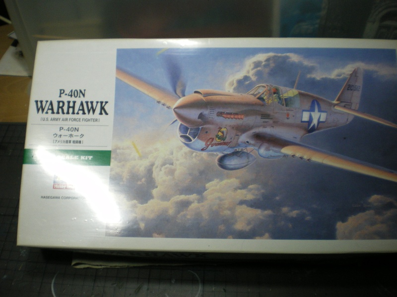 p-40 n warhawk P40_n_10
