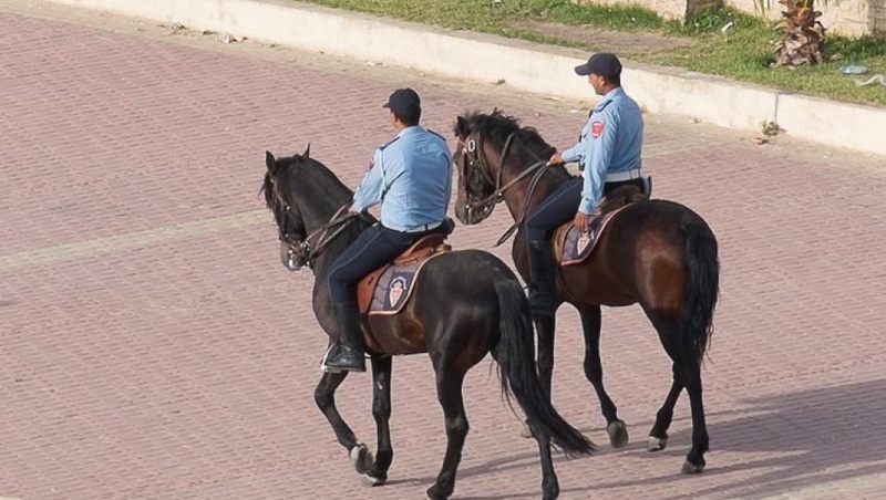 le cheval au service de la Gendarmerie Royale Chhhhh10