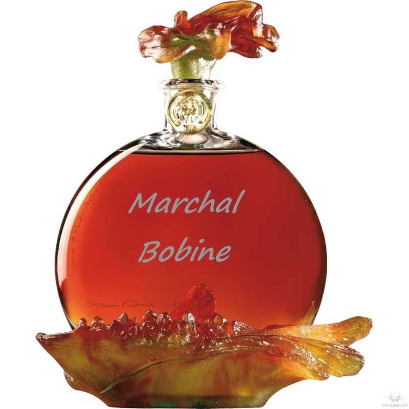 résistance bobine sev marchall cognac Cognac10