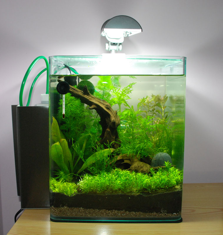 Nano 30 litres Dennerle Nano_c10