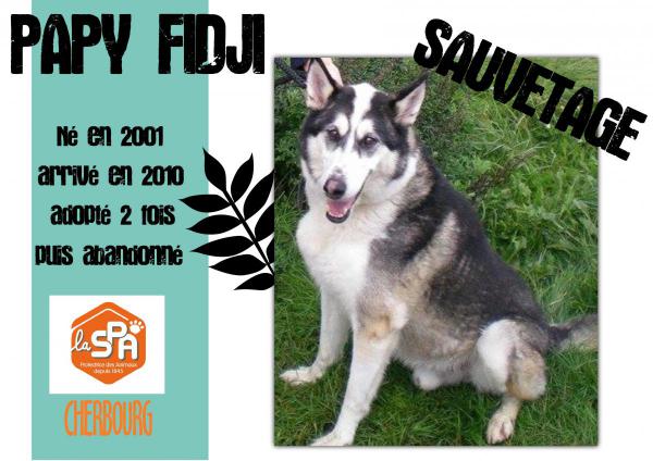 FIDJI type HUSKY 2001 dynamique gentil (m ) SAUVETAGE REFU50 - Page 3 15378_10