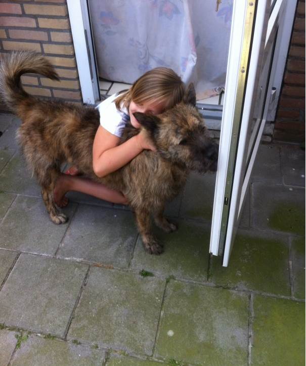 VICKY, croisée chow-chow (f ) en Belgique 3 ans Vicky-10