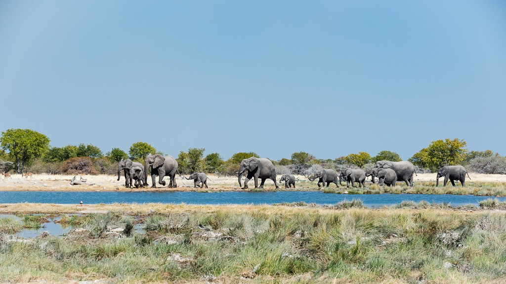 Reportage: L'eau et les éléphants Part 1, 2 et 3 _dsc2012