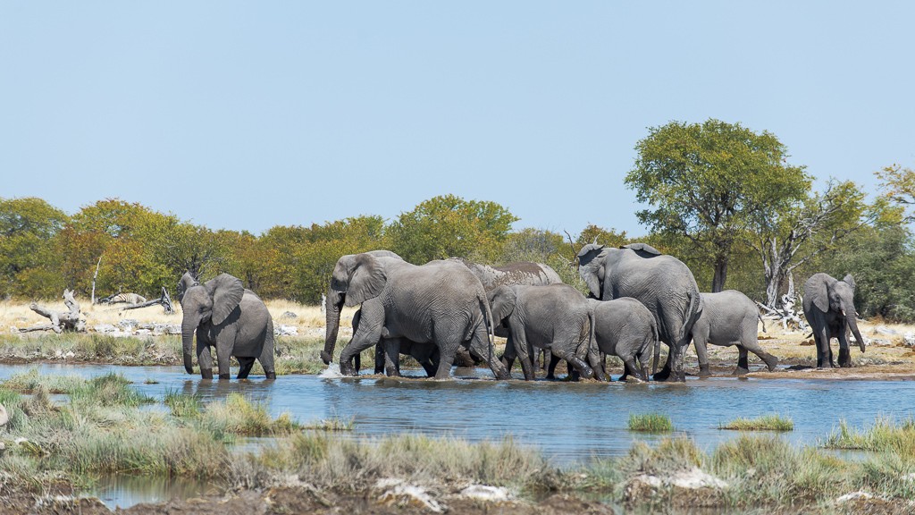 Reportage: L'eau et les éléphants Part 1, 2 et 3 _dsc2015