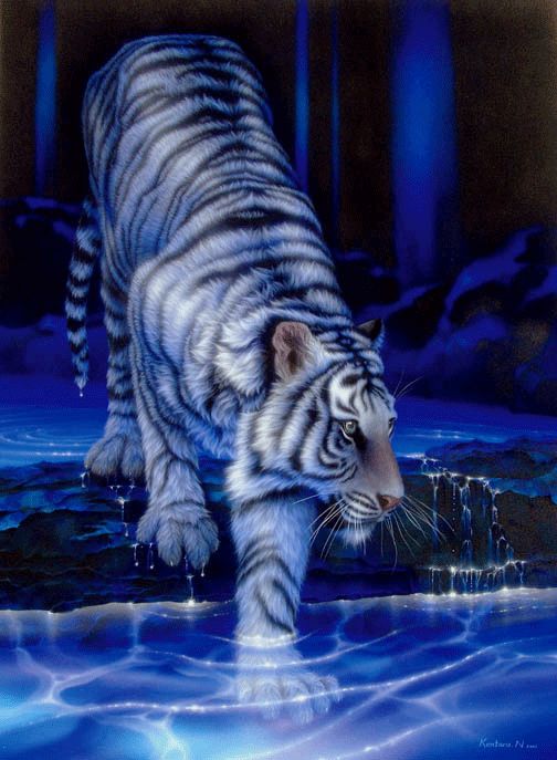 Belles images de tigres 24e7op10