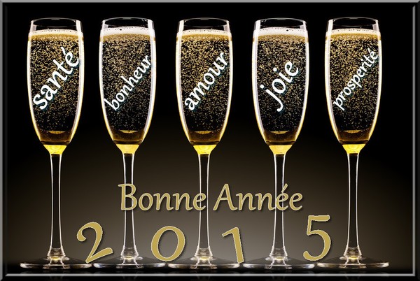 Tous mes vœux de bonne année 2015 7c7ce210