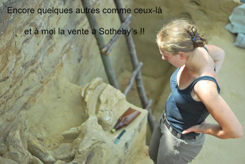 squelette de mammouth vendu à Southeby's Laetit10