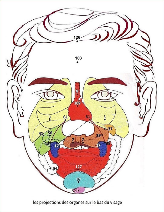 La Réflexologie faciale 215