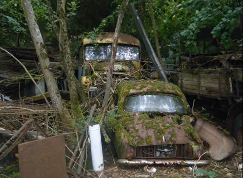 Les autos abandonnées et la nature qui reprend ses droits .... - Page 2 A_01210