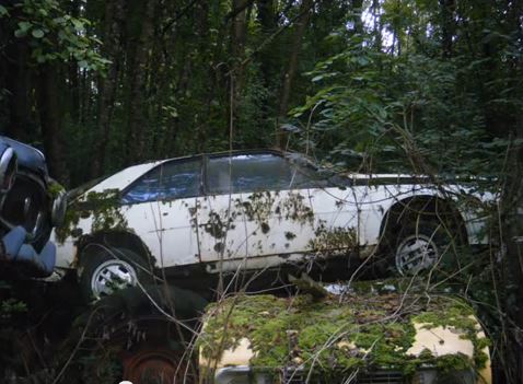 Les autos abandonnées et la nature qui reprend ses droits .... - Page 2 A_0410