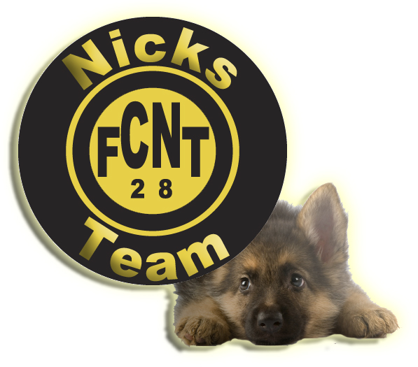 Logo pour le "FC Nicks Team" Le 26/08/2012 (Darcel) Nickst12