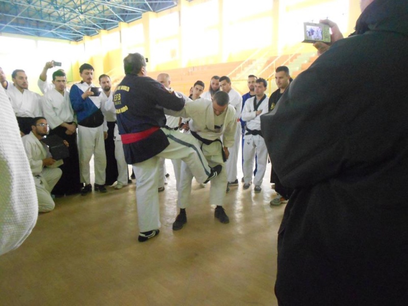 Kyusho Jitsu, stage de Constantine 13 et 14 février 2015 1247