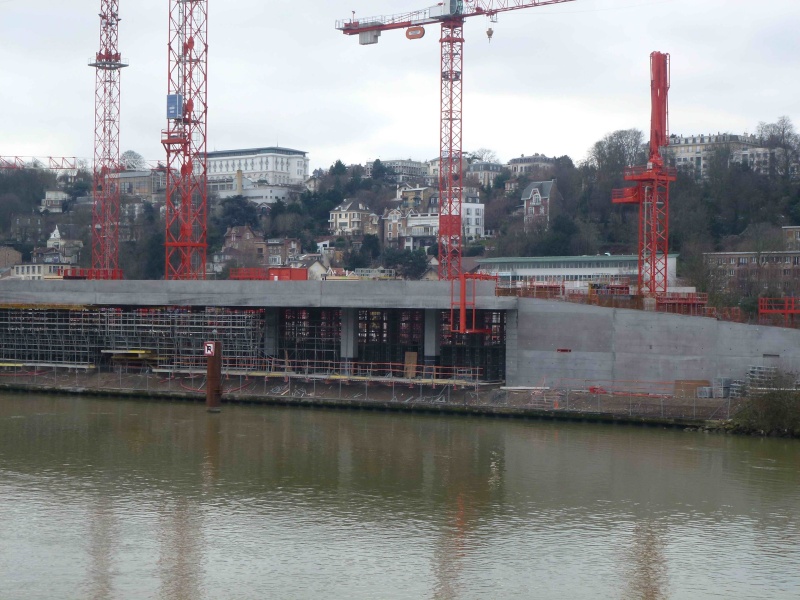 La Seine Musicale de l'île Seguin - Page 15 P1320629