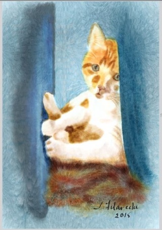 Mozart my Cat in Digital Watercolors Mozart12