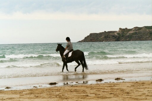 Concours photo du mois d'aout: A vos appareils! Laure110