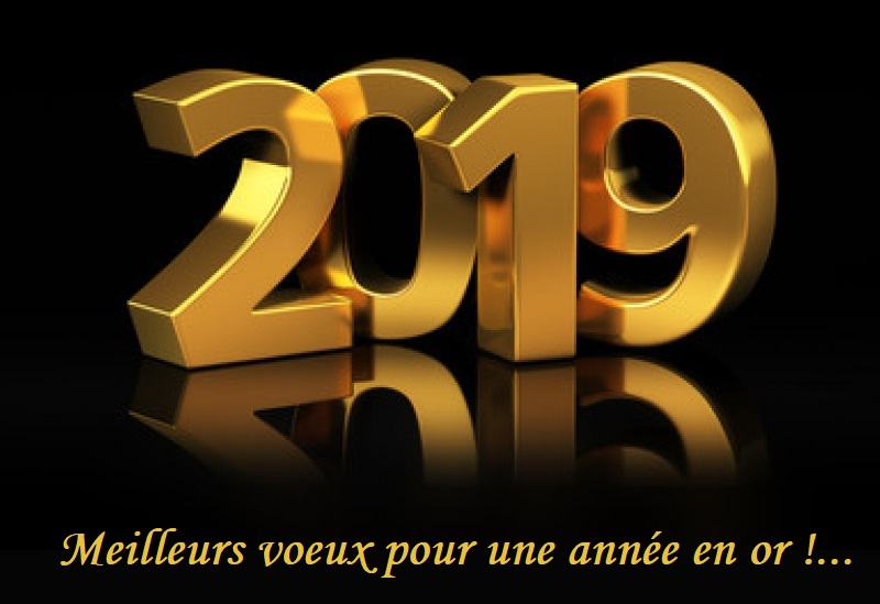 Voeux 2019 Fn46010