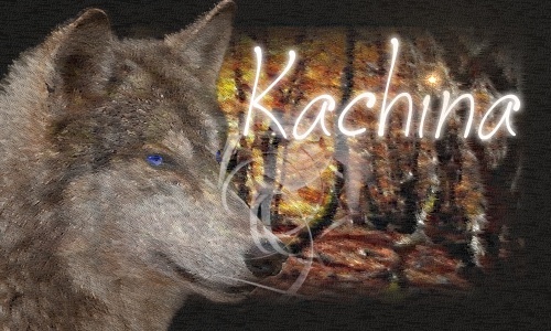 Kachina - Dancing Dust  Kachin10