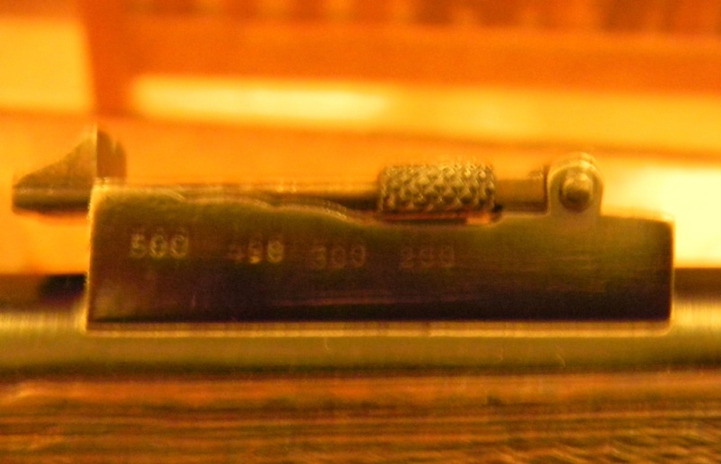 carabine martini henry inconnue en calibre 8mm Dscn3218